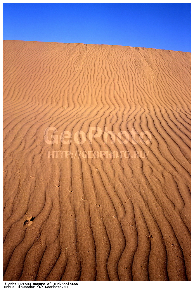 �������, ��������, �������,  �����, 35�� 