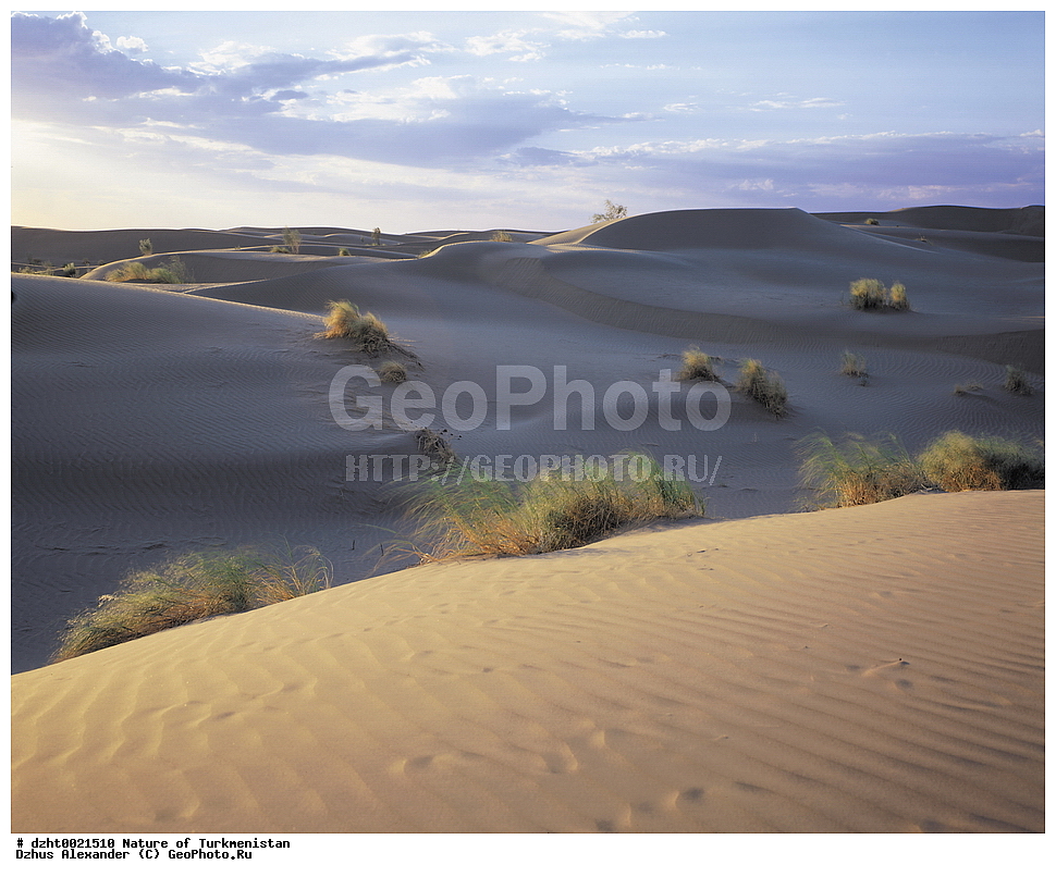 �������, ��������, �������,  �����, 35�� 