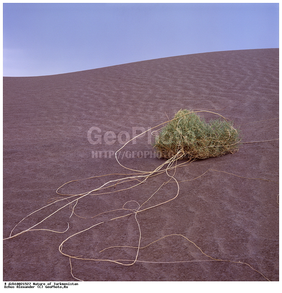 �������, ��������, �������,  �����, 35�� 