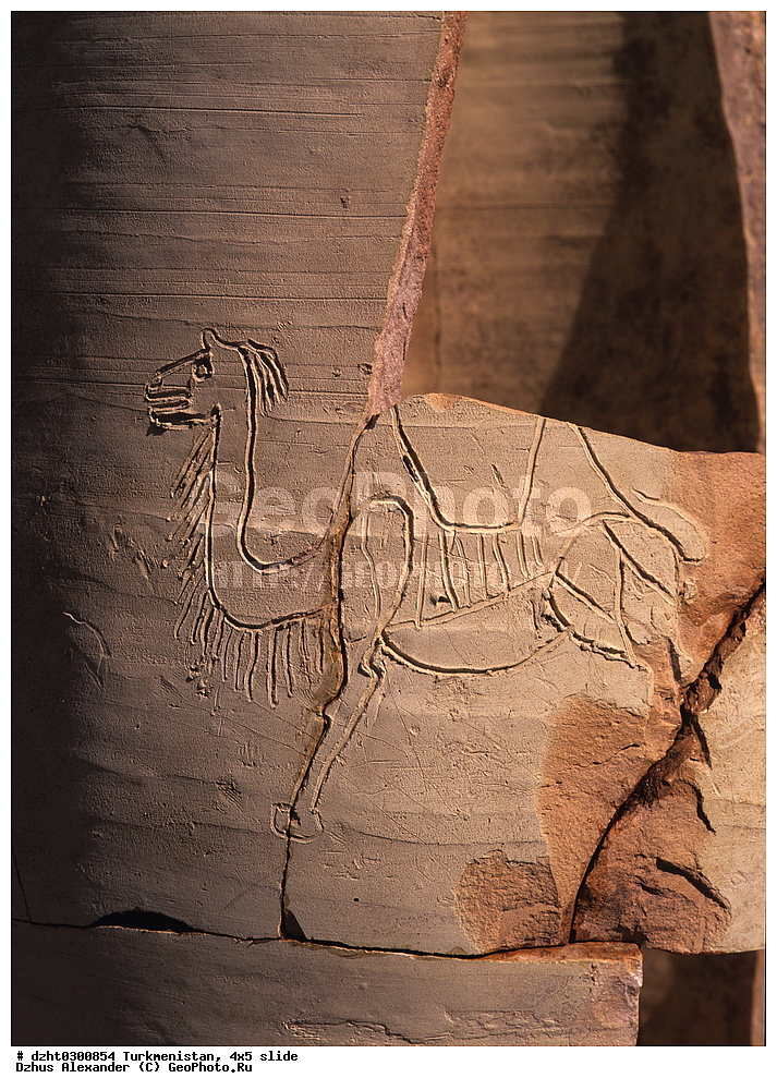 ������������, �����, 4�5,  �����������, ������