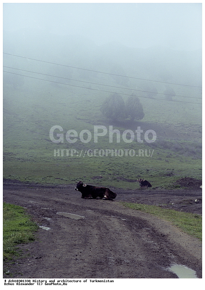 �������, �����, �����������, �����,  �����, 35�� 