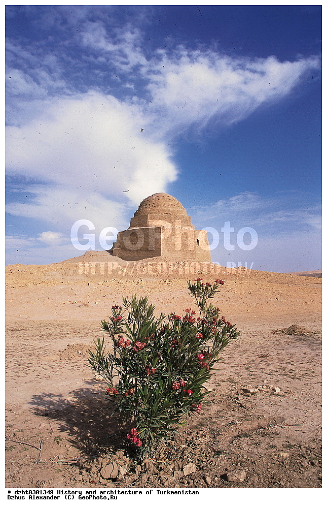 �������, �����, �����������, �����,  �����, 35�� 