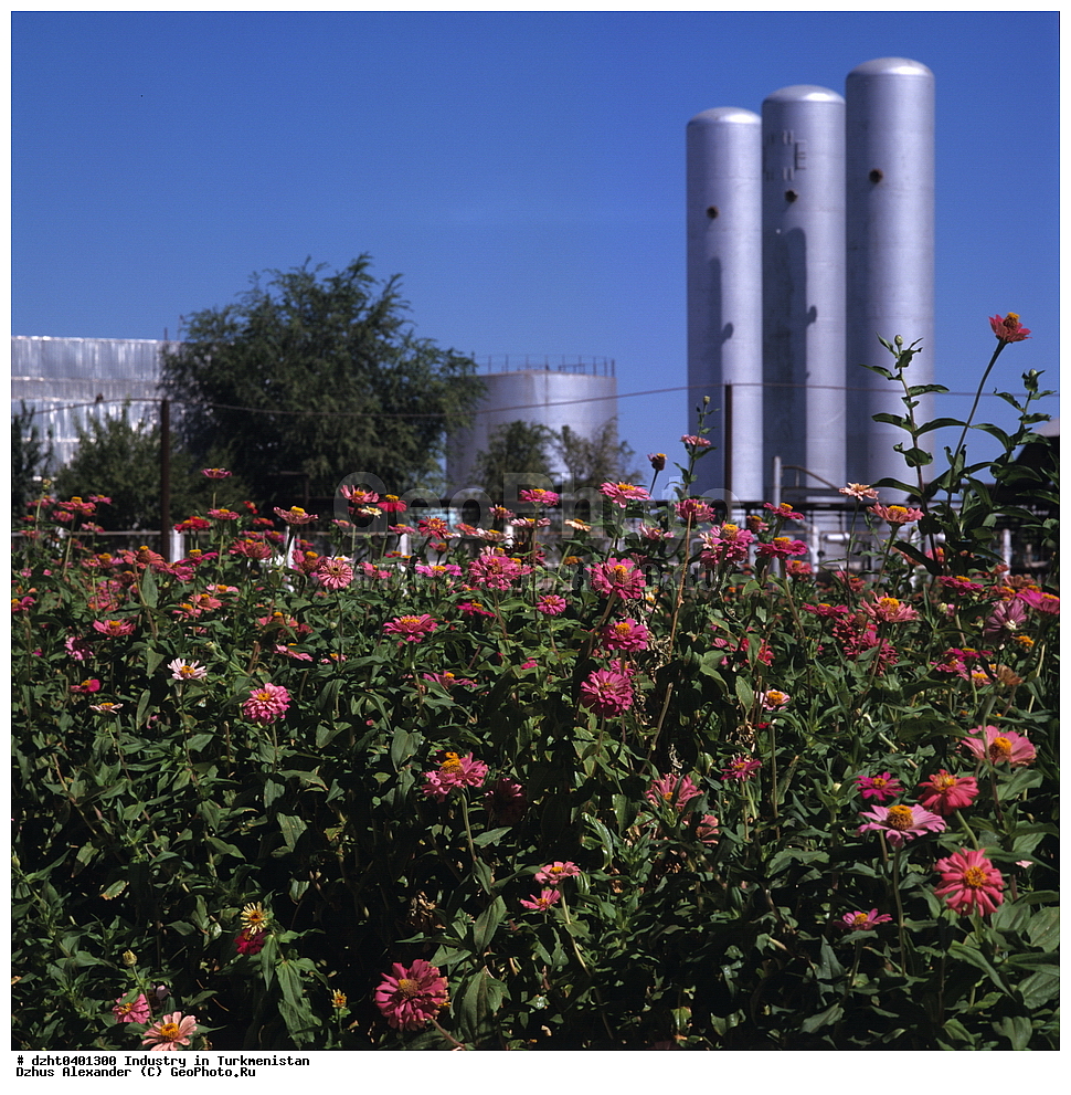 ��������������, ���, �����, �����, ������,  �����, 35�� 