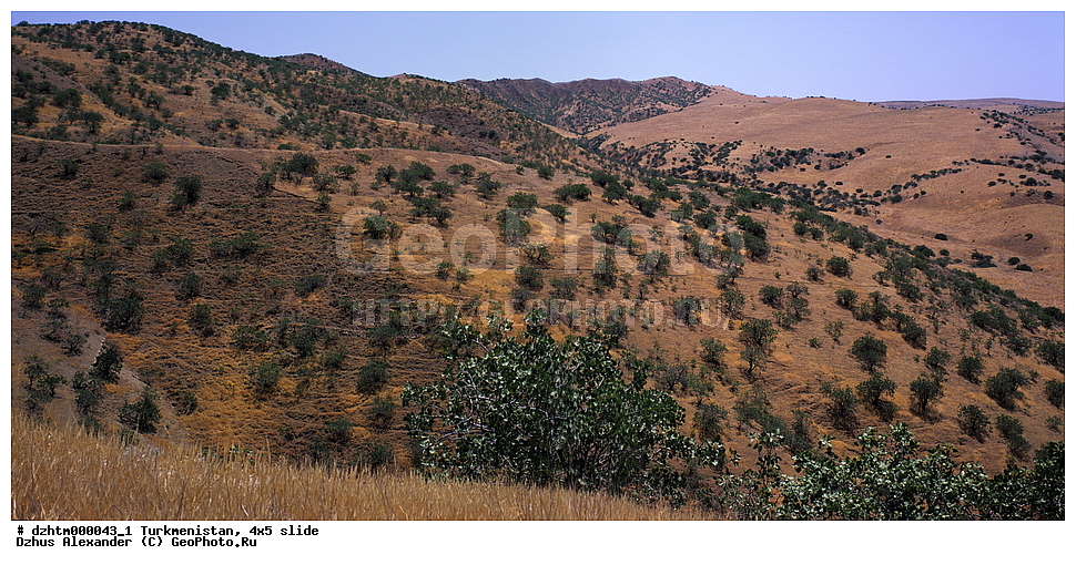 ������������, �����, 4�5, ��������