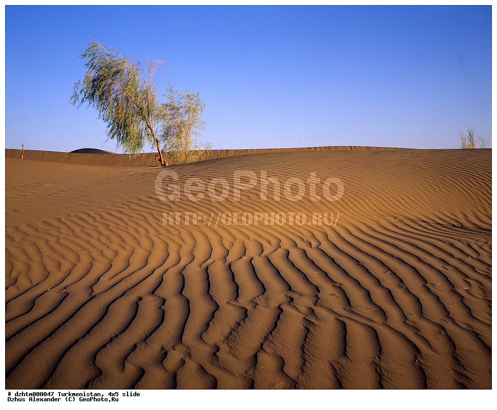 ������������, �����, 4�5, �������