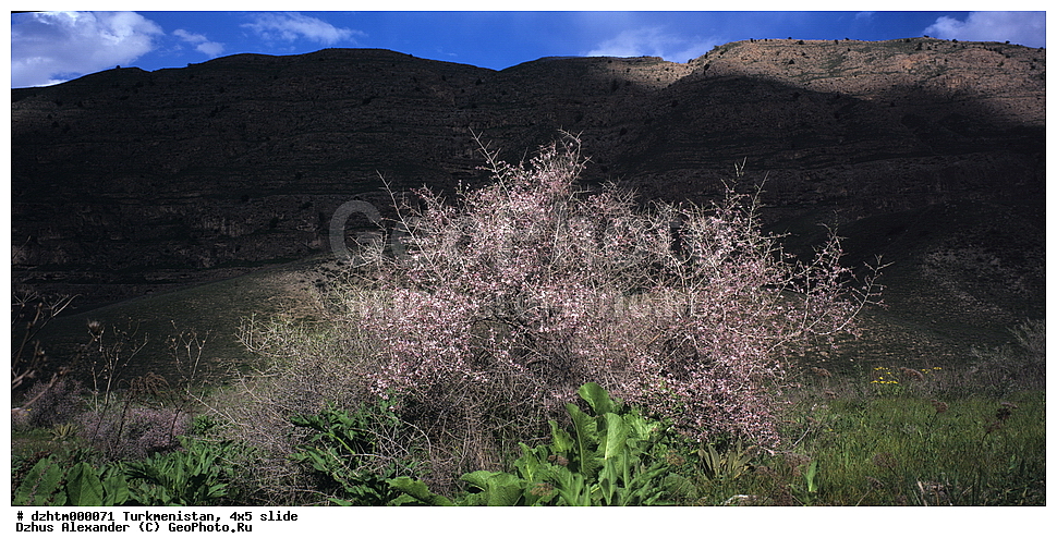 ������������, �����, 4�5, �������