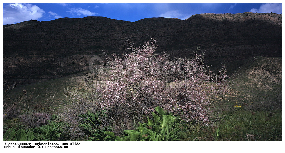 ������������, �����, 4�5, �������