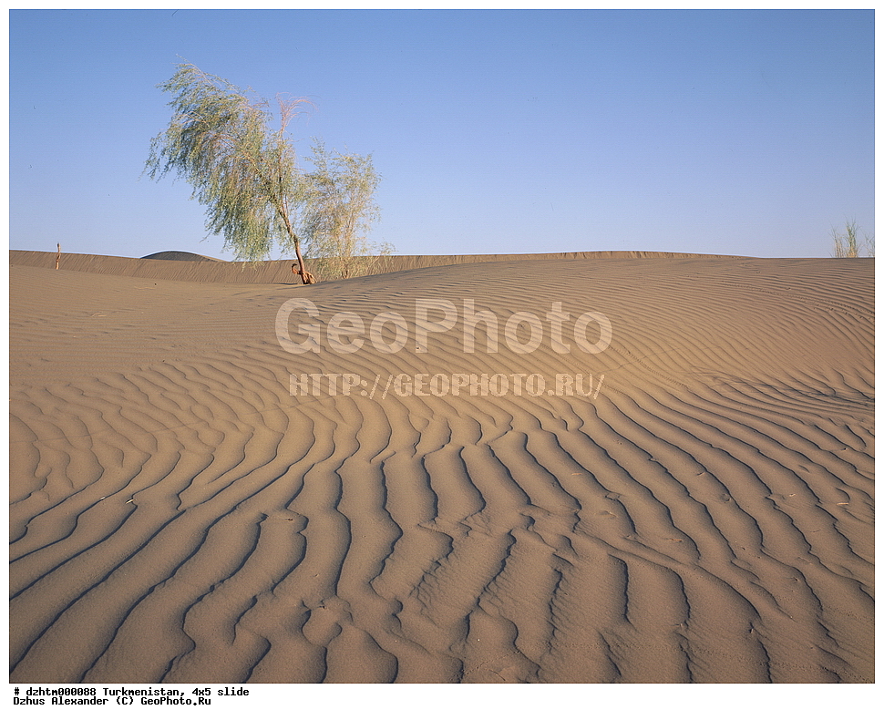 ������������, �����, 4�5, �������, �������