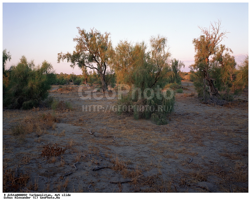 ������������, �����, 4�5, �������, �������