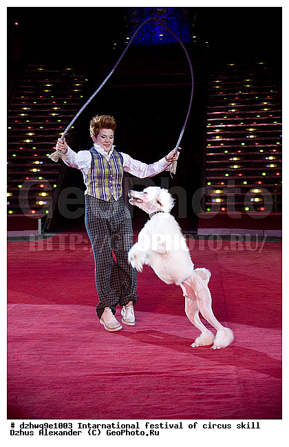 ������ �������, ������ ������, ���������� �����, ��������� �����, ���� �� �������, �� ������� ��������, ��, ������ ����, ���������, �������� ���������