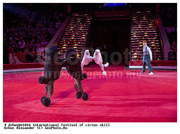 ������ �������, ������ ������, ���������� �����, ��������� �����, ���� �� �������, �� ������� ��������, ��, ������ ����, ���������, �������� ���������