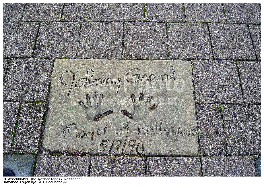 ���������, ���������, �����, �����, ���������, ������������, ������, �����, �������, ��������, �����, �����