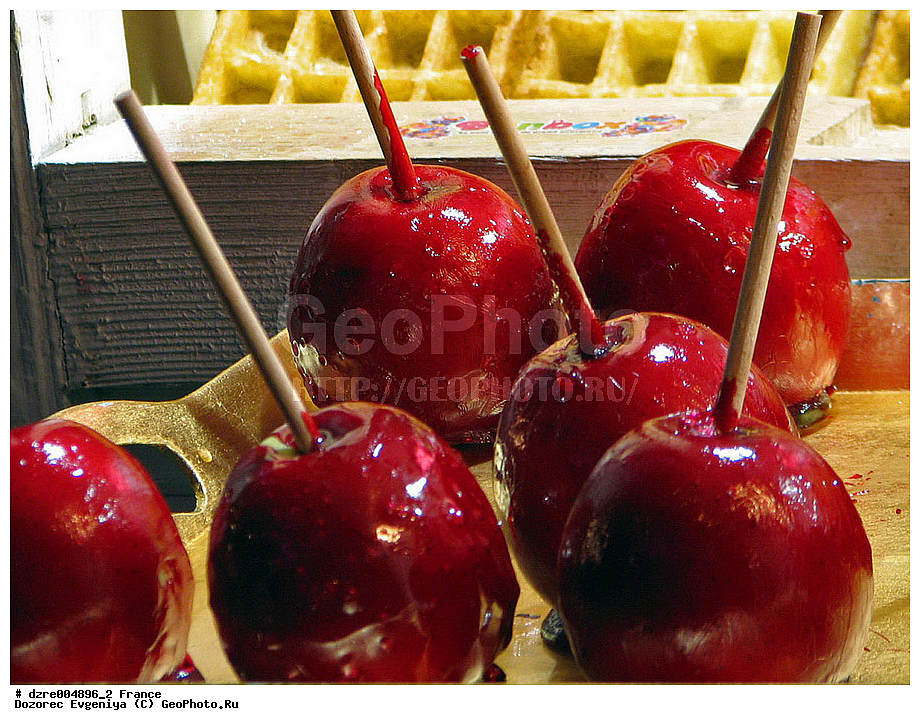 �������, �������������, �����, �������, �����, �����, �����, ���������, ��������, �������, ���, ����, ������, ��������, �����, ��������, ������, �������