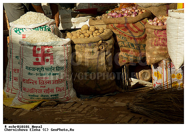 �����, ������, ������, ����, �����, �����, ���������, ���, �����, �����, �����������, �����, ��������, �����, ��������, ������, �����