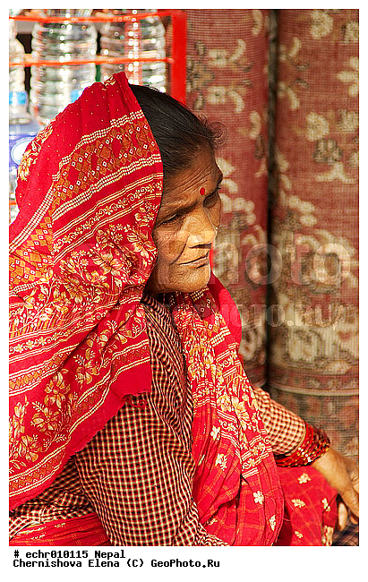 �����, ������, ������, ����, �����, �������, �������, �������, ����