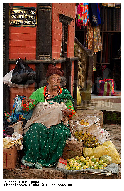 �����, ������, ������, ����, �����, �����, �������, �����, ����������, �����������, �����, ��������, ������, �����