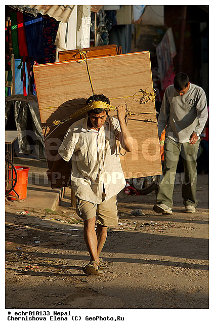 �����, ������, ������, ����, �����, �������, ������, ������