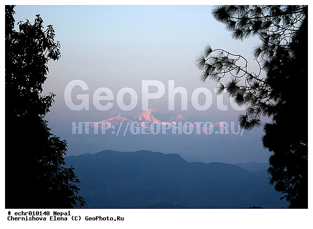 �������, �����, ������, ������, ����, ����, �����, ����, ����, �����������, �������, ������, ����