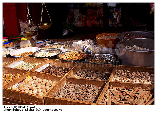 �����, ������, ������, ����, �����, �����, �����������, �����, �����, ������