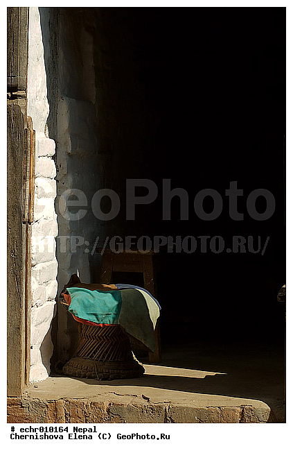 �����, ������, ������, ����, ����, �����, �����������, ������