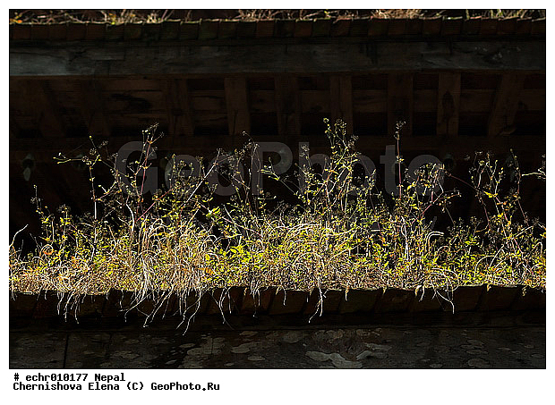 �����, ������, ������, ����, �����������, �����, ���������������������, �������, ���������, �����������, ��������������, �������, ������, �������� ������, ����