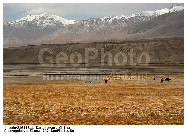 ��������-��������� ���������� �����, ����, ����, ����, ���������, �����, ���������, �����, ��������, ����