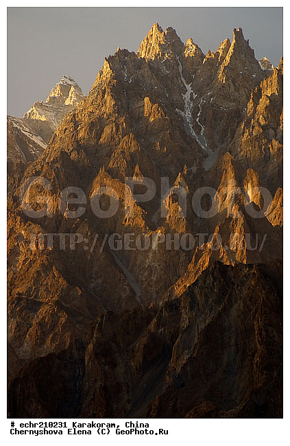 ����, �������, ����, ����, �����, �����, ���������, ��������, �����, �������� ���������, �����, ��������, �����