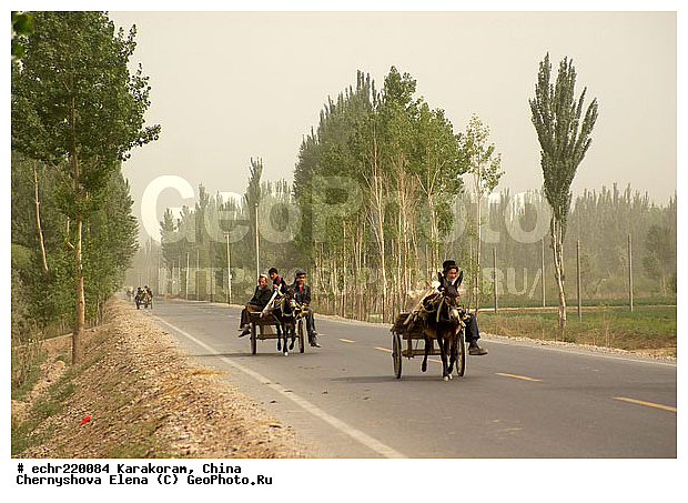 ��������-��������� ���������� �����, ����, ������, ������, ���������, �����, �������, ����, ������, ������, ������