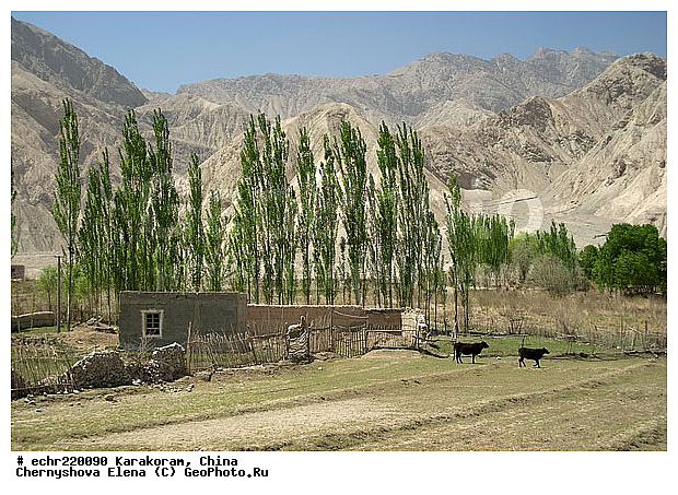 ��������-��������� ���������� �����, ����, ����������� ���, ����, ����, �������, ���, ����������, �����, �����, �������� ���������, �����, ����, ������