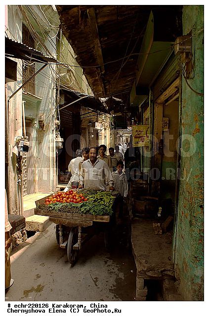 ����, ���������, ���������, �������, �����, ��������, �������, ��������, �������, ����������, �����, ������, ��������, ��������, �����