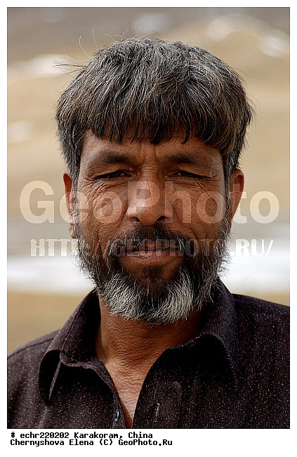 ����, �������, �����������, ��������, ����������, �������, �������� ���������, �����