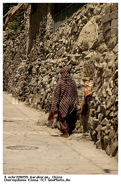 ����, �������, ������, ���������, ���������, �����������, ��������, �������� ���������, �����, �����, �����, �����, �����, ����