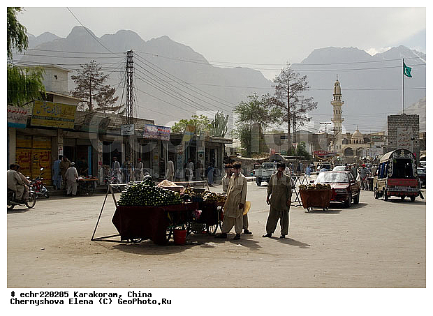 ����, �������, �����, ����, ���������, �������, �����������, ��������, �������� ���������, �������, ������, ��������, �����, �����