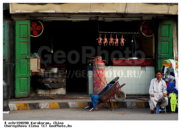 ����, �������, ���, ���������, ������, �������, �����������, ��������, �������� ���������, �������, ��������, ��������, ������������, �����, �����