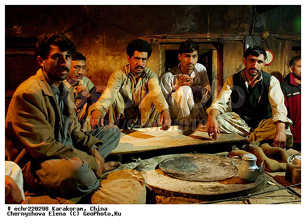 ����, ���, ��������, ���������, �������, �����������, ��������, ����������, �������� ���������, ��������, ������, ������������, �����