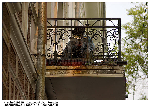 �����������, ������, ������, �����, ����� �����, �������, ��������������, �������, �������, ������, ������ �����, ������