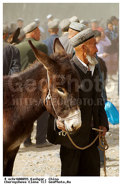 ������, �����, ��������-��������� ���������� �����, ����, �����, ������, �������, ����, ��������� ����, ��������, ����, �����, �����, ��������, ������������, ���������, �����, ��������� ��������, �������