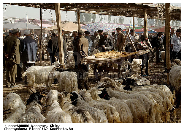 ������, �����, ��������-��������� ���������� �����, ����, �����, �����, ������, �����, �������, ����, ��������, �����, ������, �����, �����, ��������, ������������, �����, ��������� ��������, �������