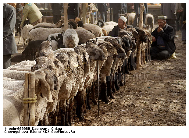 ������, �����, ��������-��������� ���������� �����, ����, �����, �����, ������, �����, �������, ����, ��������, �����, ������, �����, �����, ��������, ������������, �����, ��������� ��������, �������