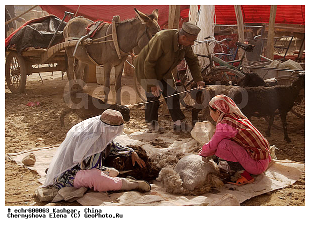 ������, �����, ��������-��������� ���������� �����, ����, �����, �����, ������, �������, �� �������, ������, �������, �����, ����, �������, ������, �����, ������������, �����, �������, ��������� ��������, ������, �������