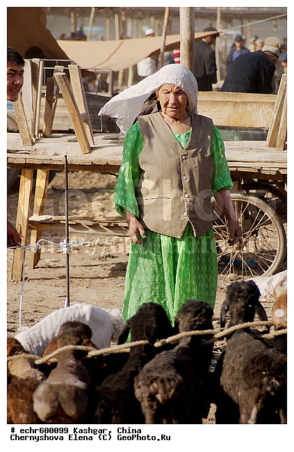 ������, �����, ��������-��������� ���������� �����, ����, �����, �����, �������, ����� �����, ����, ����������, �����, ������, �����, ��������, �����, �������, �������