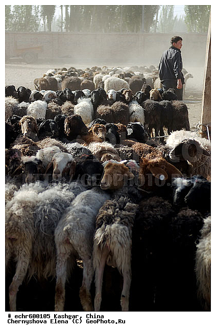 ������, �����, ��������-��������� ���������� �����, ����, �����, �����, �����, ����, �����, ������, �����, �������