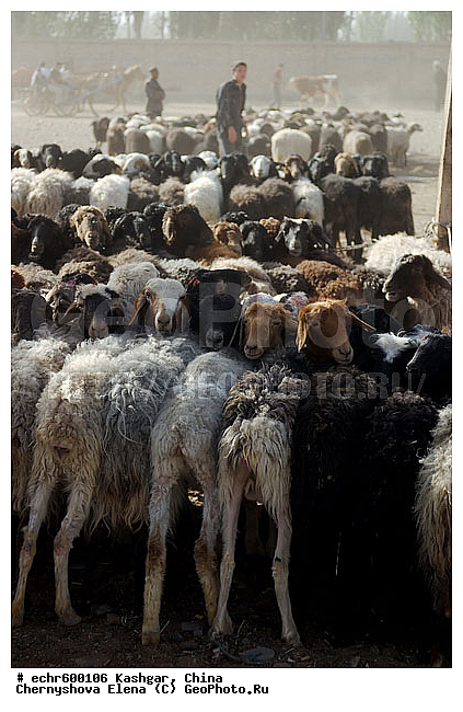 ������, �����, ��������-��������� ���������� �����, ����, �����, �����, �����, ����, �����, ������, �����, �������