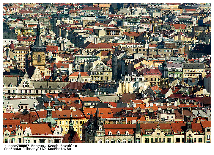 �����, �����, �����