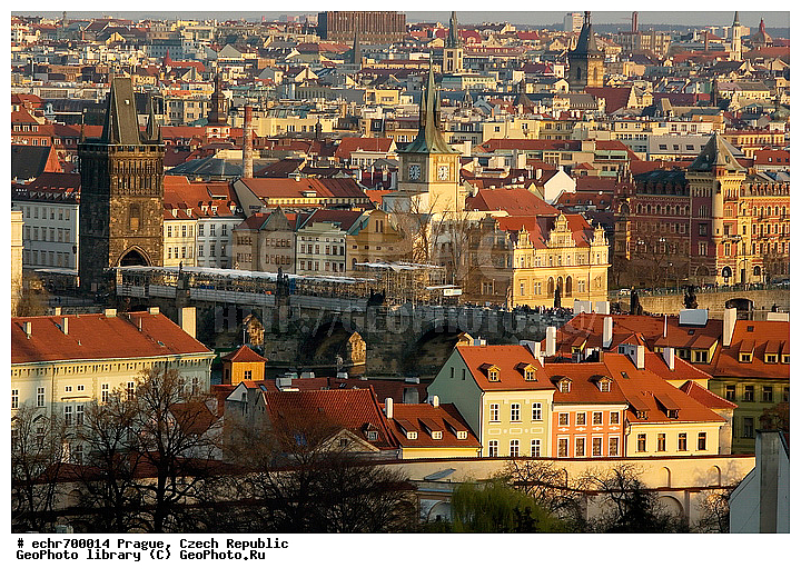 �����, �����, �����