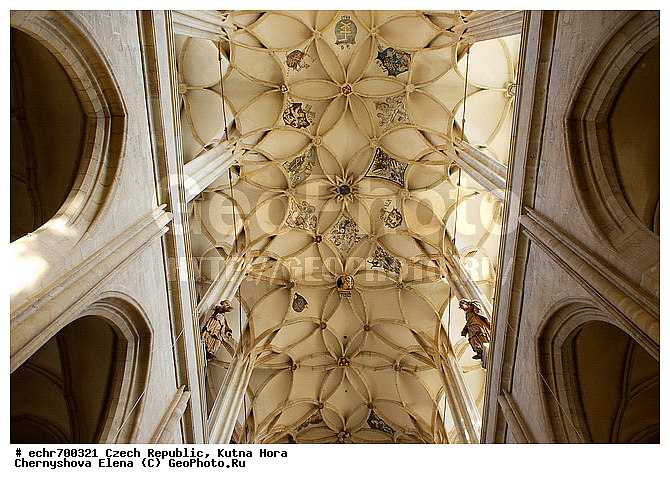 �����-����, �����, ������, ����������, �����