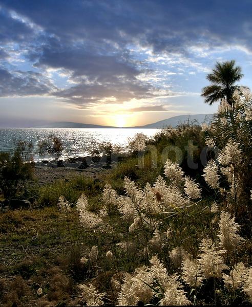 �������, �������, ����, �����, ����, �����, �����, �������, ������