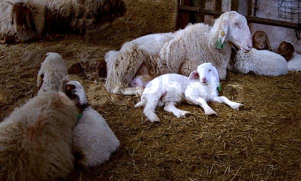 ����, ����, ��������, �����, ����, ����, �����, ������, ����, �������