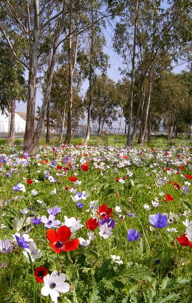 �������, ������, �������, ��������, ������, �����