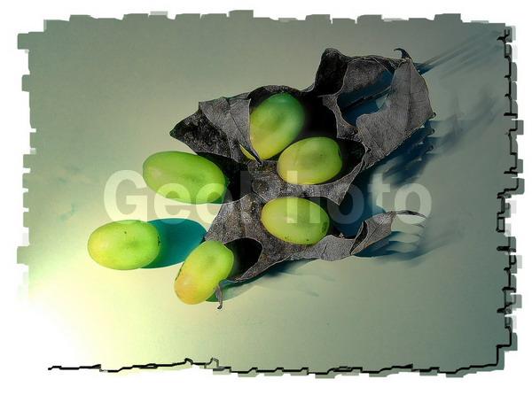 ��������, ��������, ���������, ���������, ����, �����, ����, ������, ������, �����